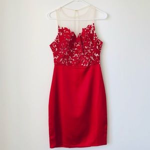 Bebe formal Mesh Lace Mini dress, 4